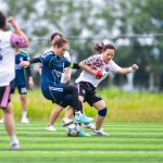 足球新闻的专业剖析与最新动态