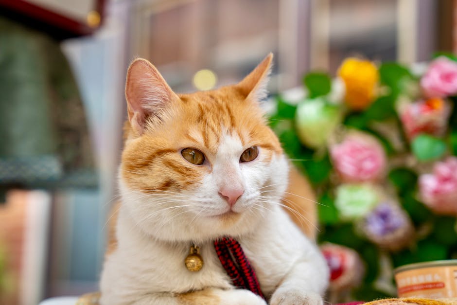 寵物包場：打造專屬毛孩的溫馨天地